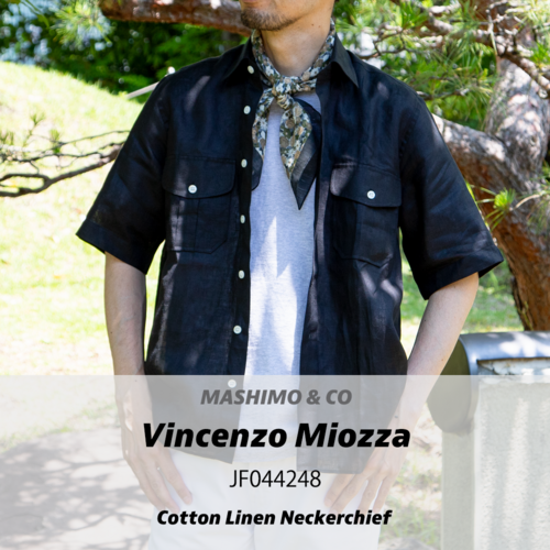 Vincezo Miozza Styling Sample
